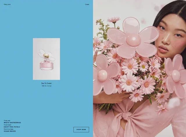 Daisy Sweet